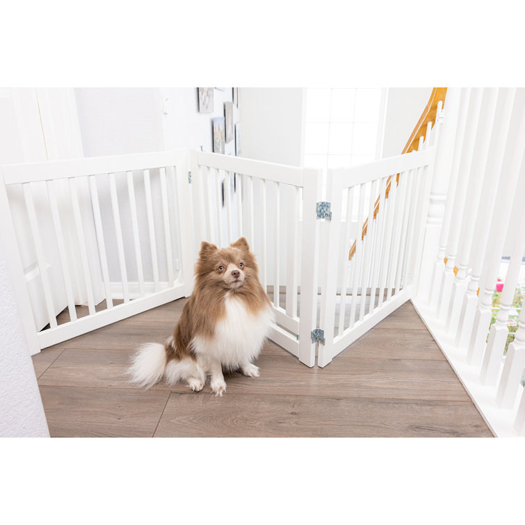 Primetime petz store 360 configurable gate